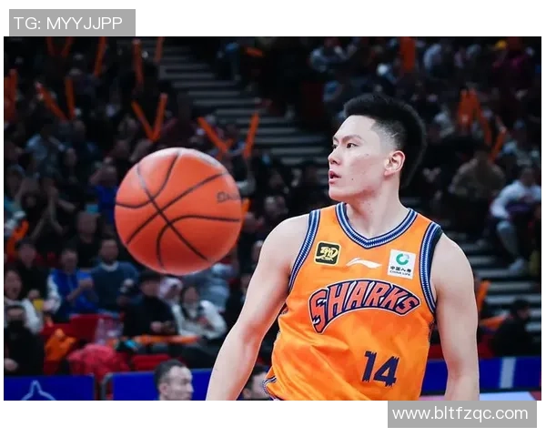 上海篮球队团队协作引发热议球迷对战术配合和球员默契产生分歧